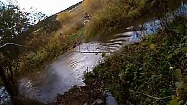 Бродик камера смотреть онлайн