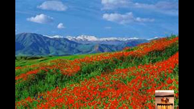 Друзьям из Казахстана посвящается Автор Вадим Буклешов Исп АИсенгазин Кто жил и вырос в Казахстан смотреть онлайн