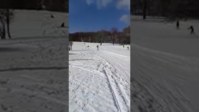 Бежим 3км на лыжах на Гребном канале. смотреть онлайн