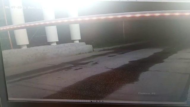 Медведь бегает в Мытищах неподалеку от пансионата смотреть онлайн