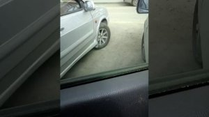 Бархотки Приора