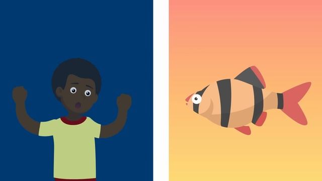 How Do Fish Breathe Underwater? | COLOSSAL QUESTIONS смотреть онлайн