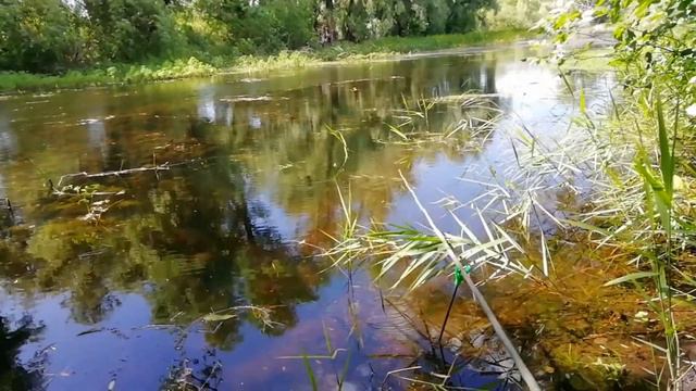 Рыбалка без рыбы, но всё равно здорово 😁 смотреть онлайн