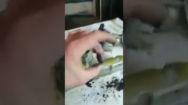 EGR как поставщик абразива в камеру сгорания вашего дизеля или Как убивается двигатель. часть 1. смотреть онлайн