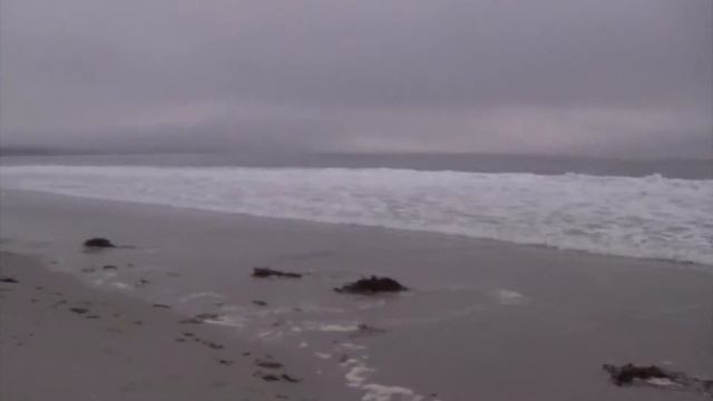 Залив Кармэл, Калифорния Carmel Bay, CA смотреть онлайн
