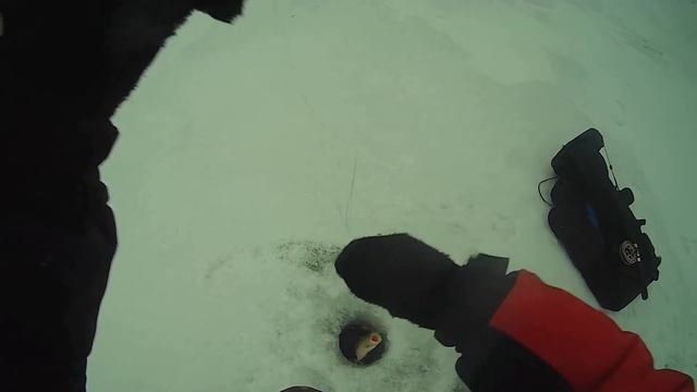 СУДАК НА БАЛАНСИР. Walleye on the balancer смотреть онлайн