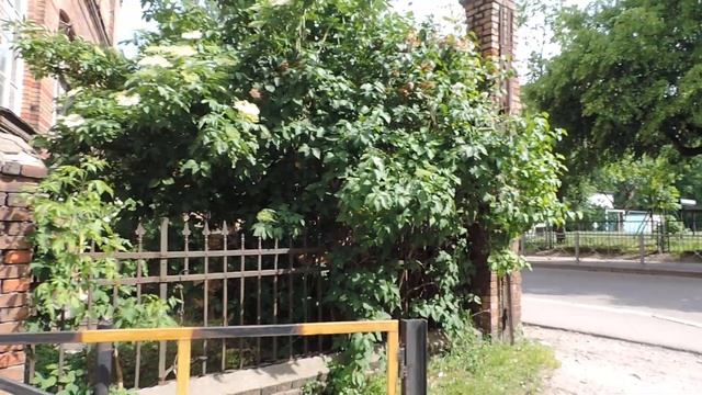 КАЛИНИНГРАД: по улицам Барнаульская, Вагнера, Загорская и Ботаническая - 7 июня 2022, ВТ смотреть онлайн