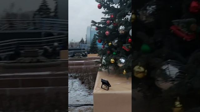 От каждого региона России по елочке. Их 89. Предновогодний движ по елочкам?? на ВДНХ. смотреть онлайн