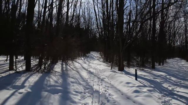 Canon EOS-M Overview in a State Park смотреть онлайн