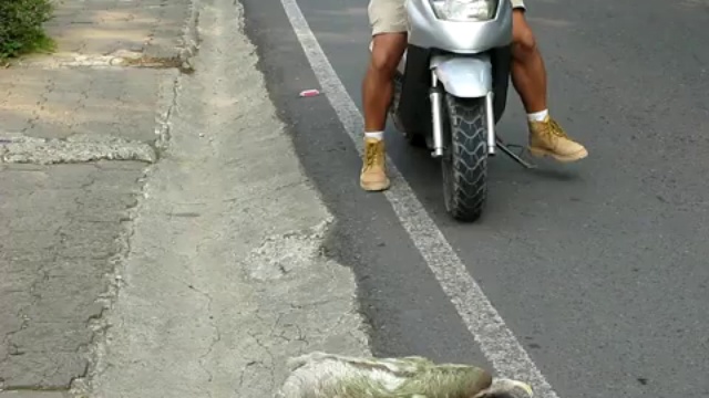 Молниеносный:) смотреть онлайн