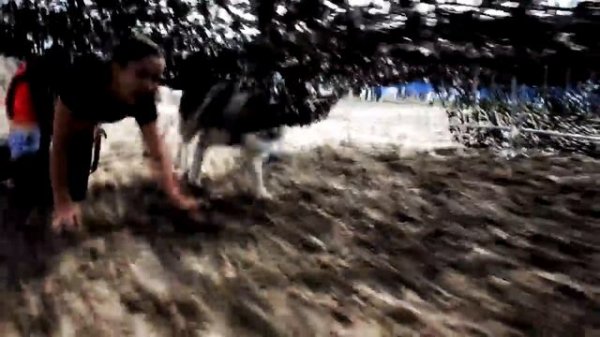 Extreme Team Race Экстремальная гонка с собаками 2018.mp4