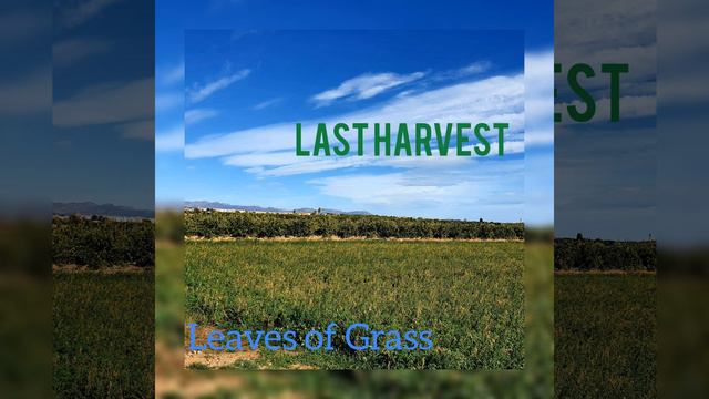 Leaves of Grass смотреть онлайн