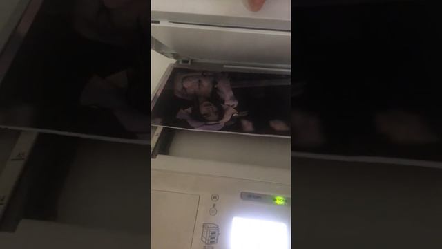 how to use usb print and scan on Canon ir1133 смотреть онлайн