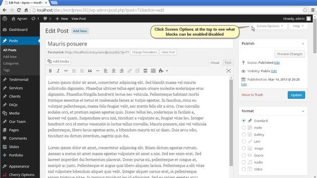 WordPress. How To Change Admin Panel View смотреть онлайн