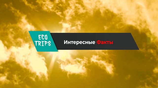Нет изменения климата, есть климатическое оружие смотреть онлайн