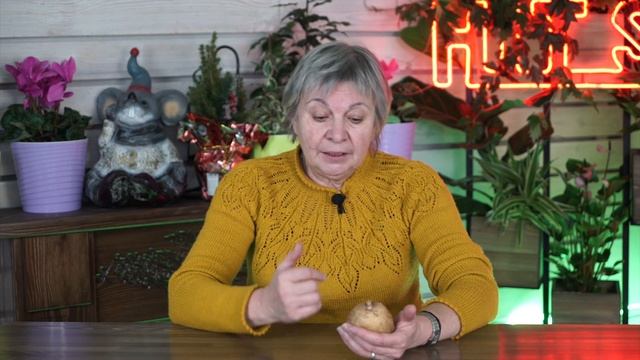 Почему Картофель пророс ✔️ Хранение Картофеля смотреть онлайн