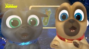 Bingo e Rolly - Canta com o Bingo e Rolly Vol. 3