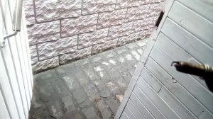 Замена свечей зажигания на Toyota Corolla 1 ZR-FE, 1.6 л?