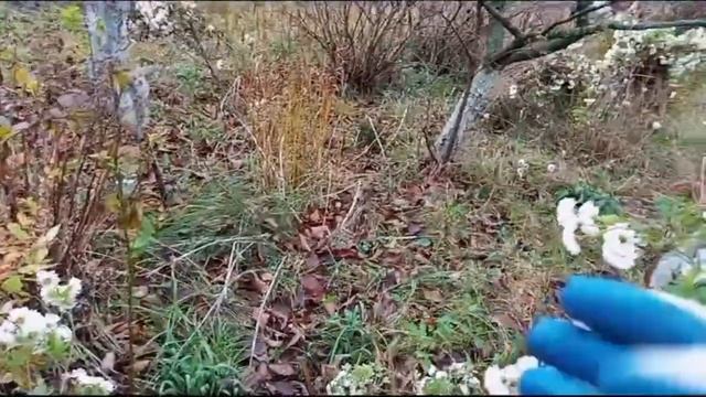 Ми купили хату❤️Гостинчік від бабусі Ані ❤️