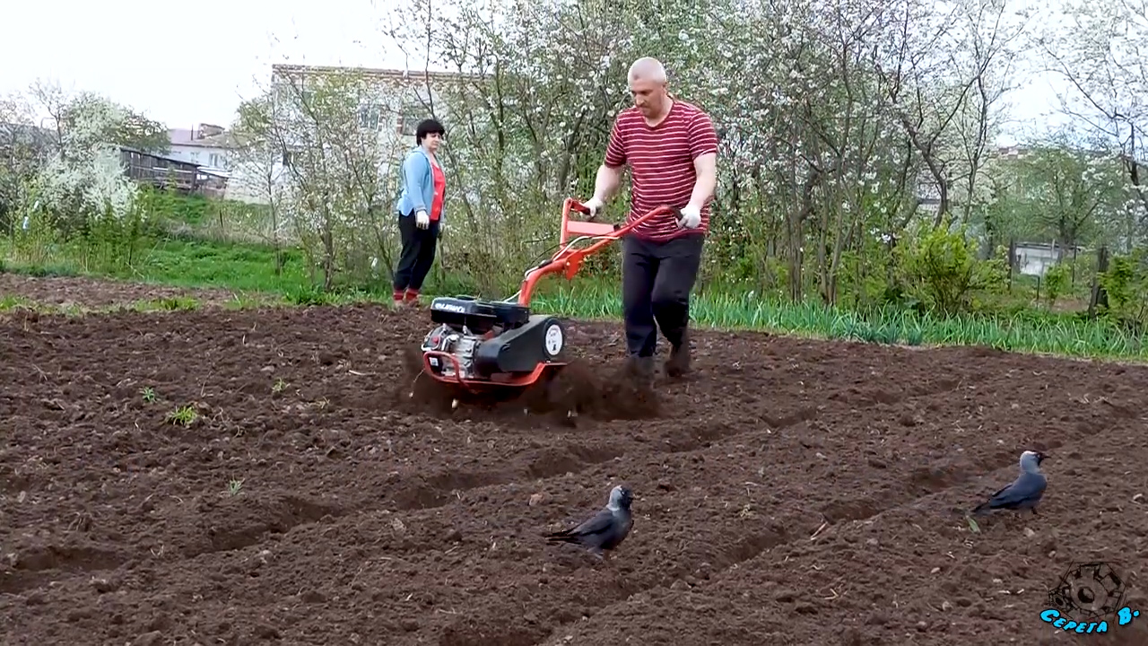 Вспашка фрезами. Участок с уклоном. Новый мотоблок смотреть онлайн
