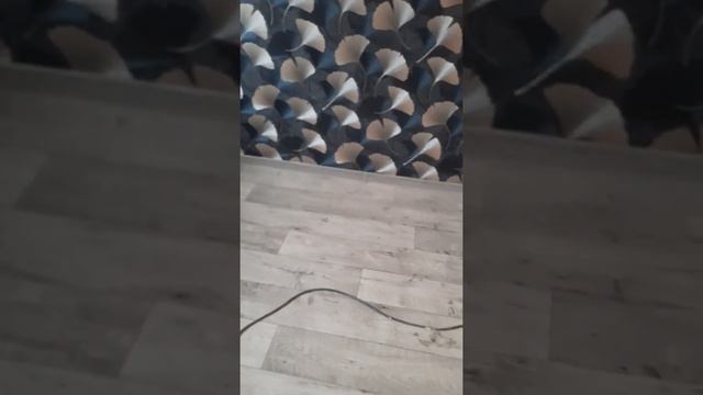 поклейка обоев