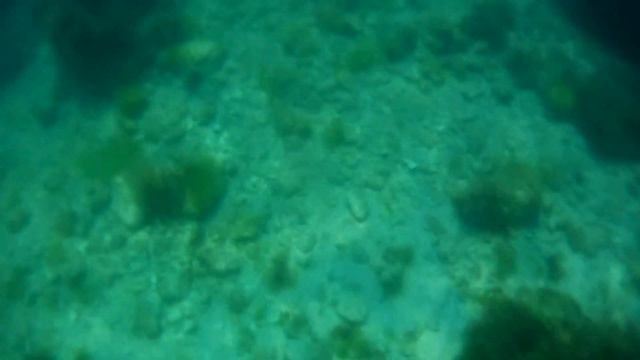 GoPro HERO4 Session: GoPro, Simplified смотреть онлайн