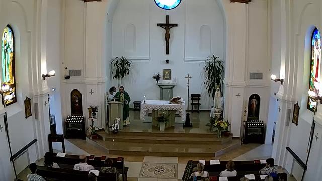 Проповедь о. Павла на святой мессе в г.Сургуте 07.07.2019г. смотреть онлайн