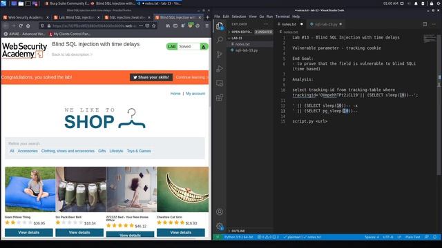SQL Injection - Lab #13 Blind SQL injection with time delays смотреть онлайн