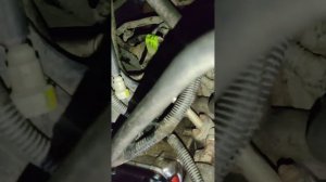 Определённые моменты которые вы должны знать перед тем как снимать коробку передач на лачетти.