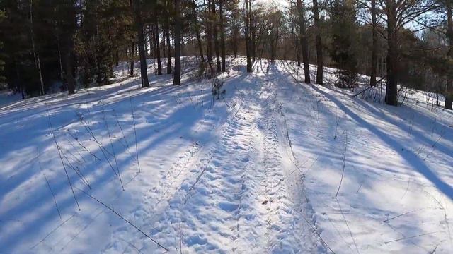 День165. Таёжным маршрутом, дальше второй пасеки. Дистанция 15 километров. смотреть онлайн
