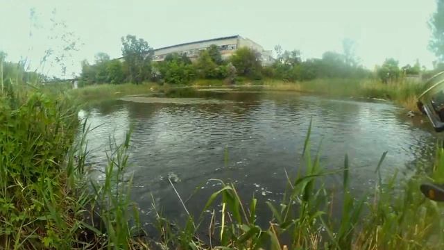 Шлюзы. Рыбалка с БЫВАЛЫМИ). А вы ловите крокодилов) #рыбалка смотреть онлайн