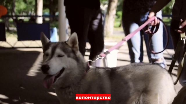 Blog3 смотреть онлайн