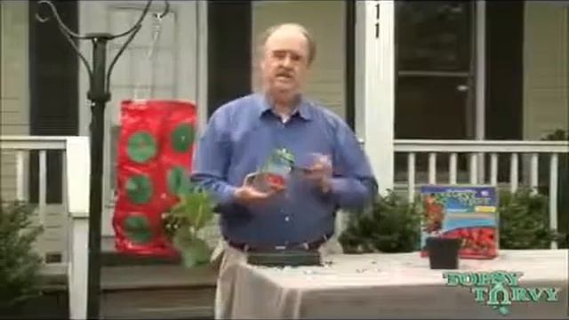 ВЬЮЩАЯСЯ КЛУБНИКА У ВАС НА БАЛКОНЕ С ПОМОЩЬЮ ПРИСПОСОБЛЕНИЯ TOPSY TURVY STRAWBERRY PLANTER смотреть онлайн
