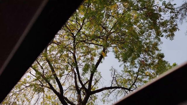 Mercedes-Benz W124 E220 1994 | Mercedes E Class drone shots | Mercedes classic смотреть онлайн