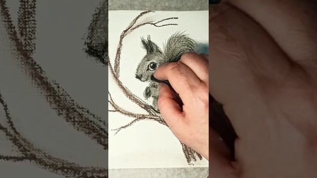 Белка - рисунок сухой пастелью. смотреть онлайн
