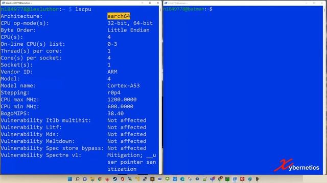 How To Check If Your Linux Is ARM64 Or x86 Architecture смотреть онлайн