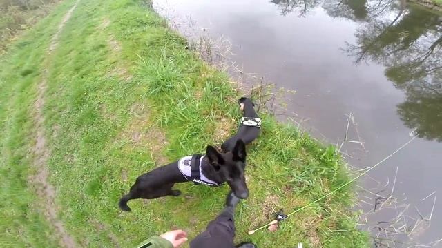 Флюрокарбон или Шнур для твичинга? смотреть онлайн