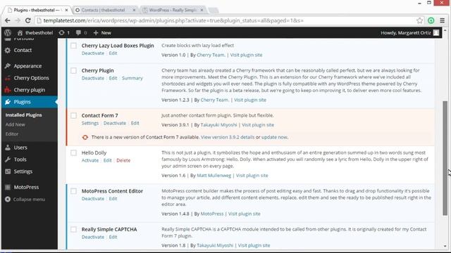 WordPress. How To Add Captcha To Contact Form 7 смотреть онлайн
