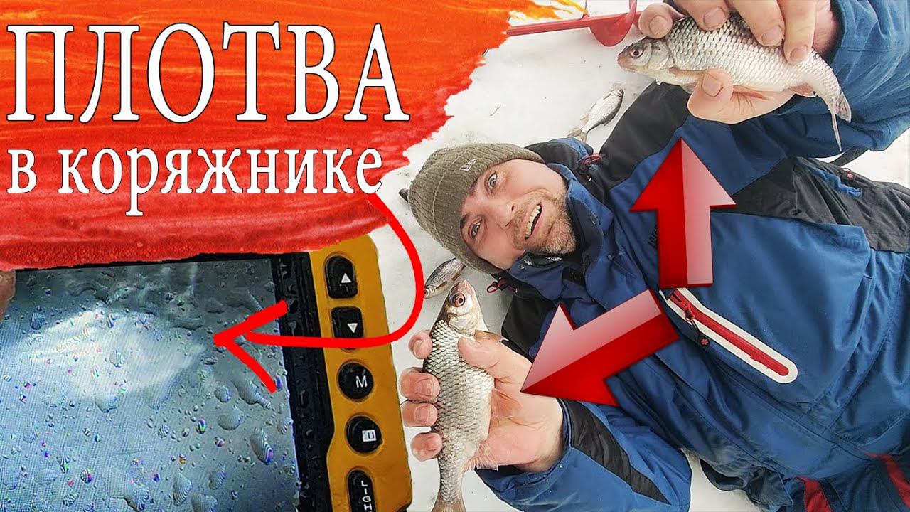 Эта КОРЯГА забита МОРСКОЙ - ПЛОТВОЙ. Лучшая РЫБАЛКА в этом ГОДУ! смотреть онлайн