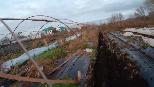 6 ноября 2023 года в деревне Шигаево на своём огороде смотреть онлайн