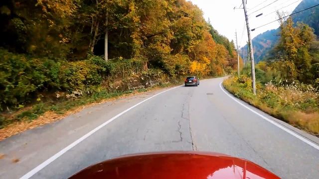 ОСЕНЬ В ЯПОНИИ: 1 час на машине по живописной горной дороге - Жизнь в Японии