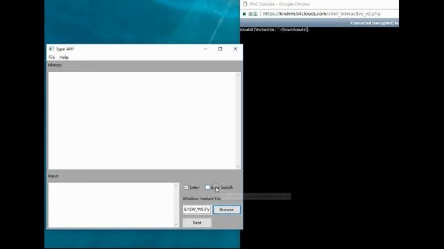 How to paste content to a VNC console смотреть онлайн