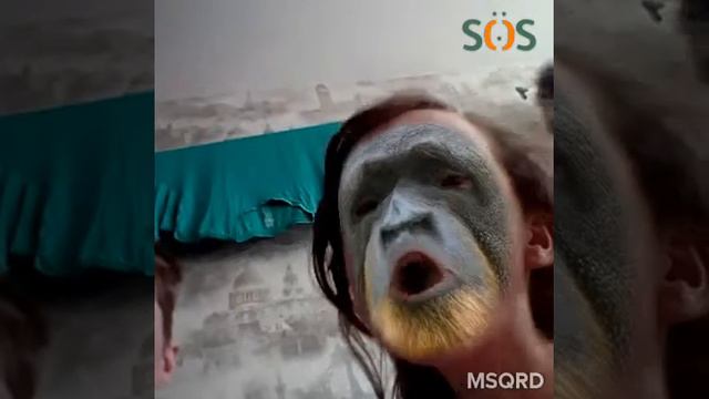 Девочка превратилась в обезьяну! смотреть онлайн