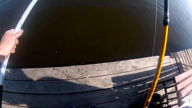 Ловля форели на ультролайт.Платники Подмосковья. смотреть онлайн