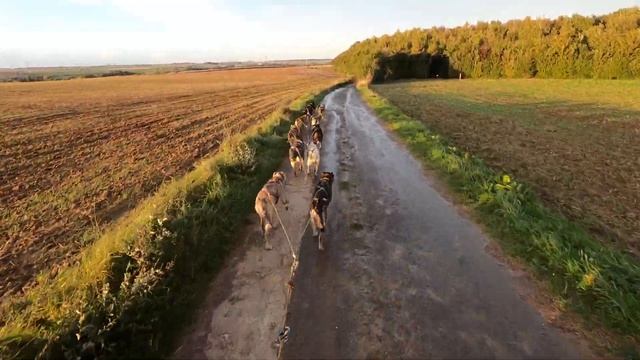2021 10 Sortie Kart AVEC LES NORRLAND HUSKY смотреть онлайн