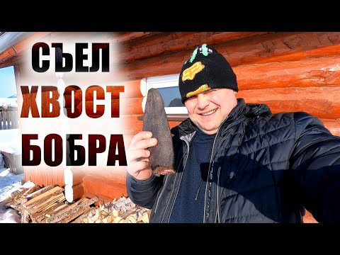 ЧТО БУДЕТ ЕСЛИ СЪЕСТЬ ХВОСТ БОБРА смотреть онлайн