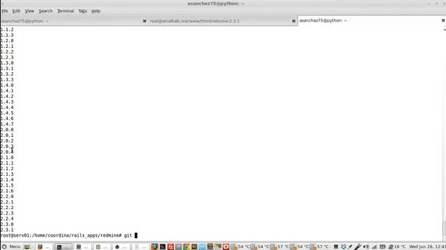 Actualizacion de Redmine de 0.8.x a 1.4.x con Ruby, Rails y Mongrel смотреть онлайн