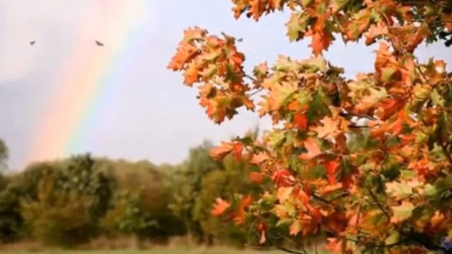 Как в последний раз!, сл. В. Лугового, муз. Геннадия Гладкова, исп. #СамуилФрумович смотреть онлайн