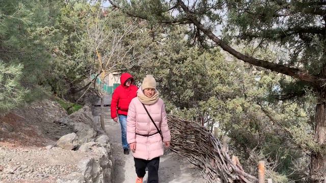 Серия 9. В Крым весной. Чайки на балконе, Форос, Новый Свет, Тропа Голицына смотреть онлайн