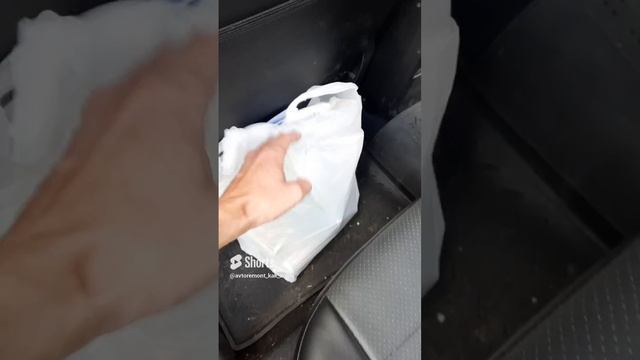 Питомцы занимают положенные места))) смотреть онлайн